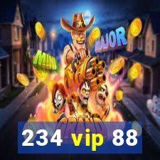 234 vip 88